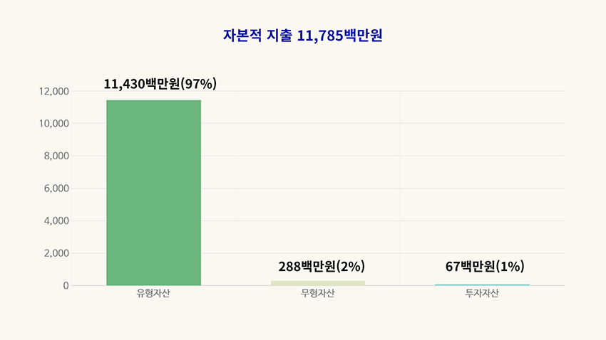자본적 지출 11,785백만원, 유형자산 11,430백만원(97%), 무형자산 288백만원(2%) , 투자자산 67백만원(1%)