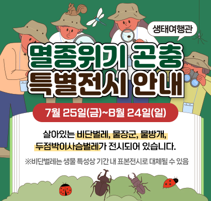 생태여행관 멸종위기 곤충 특별전시 안내 7월 25일(금)~8월 24일(일) 살아있는 비단벌레, 물장군, 물방개,  두점박이사슴벌레가 전시되어 있습니다. ※비단벌레는 생물 특성상 기간 내 표본전시로 대체될 수 있음
