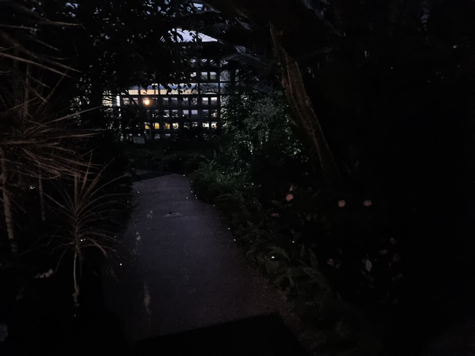 울산대공원 한여름 밤의 반딧불(2021.7.24.) 1