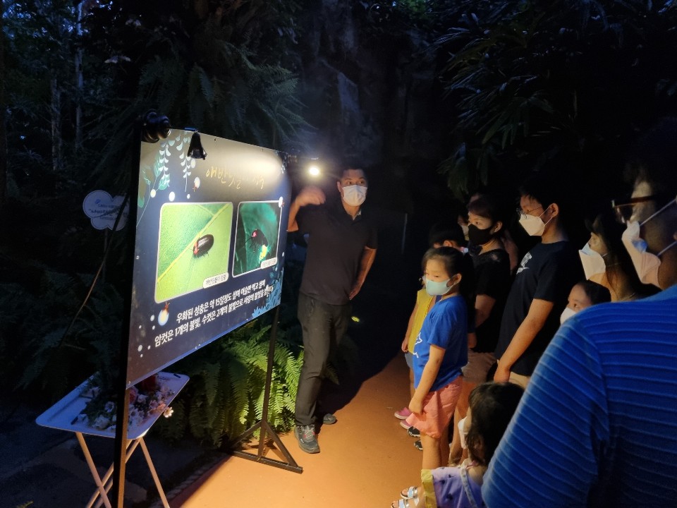 울산대공원 한여름 밤의 반딧불(2021.7.24.) 4