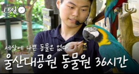 [울산매일UTV] [다큐 울산1.5일] 울산대공원 동물원 36시간