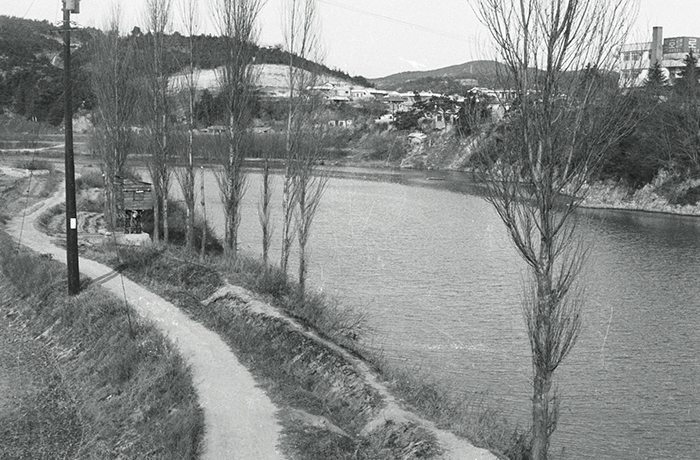 태화강고수부지에서 용검수