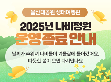 2025년 생태여행관 나비정원 운영 종료 안내 날씨가 추워져 나비들이 겨울잠에 들어갔어요. 따듯한 봄이 오면 다시만나요
